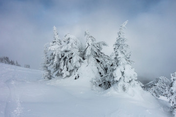 Scenic view of snow covered mountainside at ski resort, Sun Peaks Resort, Sun Peaks, British Columbia, Canada