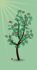 Summer scenery with a lonely blossoming tree with