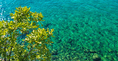 Fototapeta na wymiar Scenic Turquoise Sea Shore