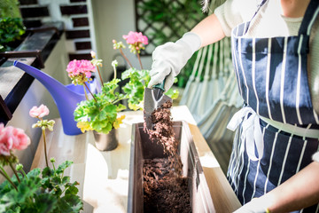 Putting soil into the pot, balcony gardening at spring