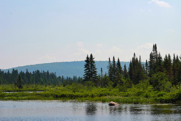 Canadian Wilderness 