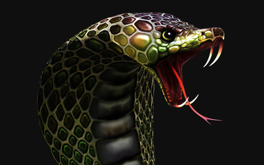 Naklejka premium 3d King Cobra The World's Longest Venomous Snake Isolated on Dark Background with Clipping Path, King Cobra Snake, 3d Illustration, 3d Rendering