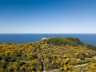 collina piena di ginestra a picco sul mare adriatico nei pressi di Pesaro. Sulla sommità una croce...