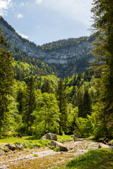  Forêt du parc naturel du cirque de saint même dans le massif de la chartreuse en France
