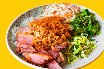 Asian duck with herbs, nuts and onions.