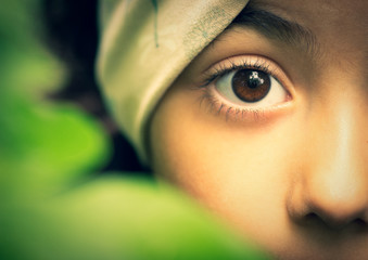 Macro view of a little girl hides behind a green leaf, warm colors, nature concept, soft and natural light - 352631257