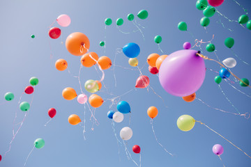 multi-colored balloons in the sky, back to school concept, the concept of starting school