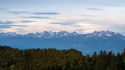 La forêt et le massif des Alpes en arrière plan