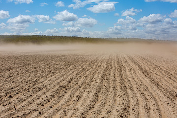 wind with dust over dried field after several days without rains