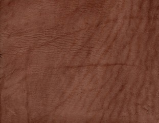 brown buffalo leather texture background
