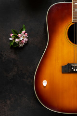 Acoustic guitar and apple tree flowers on dark brown background
