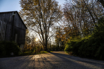 road to the old house