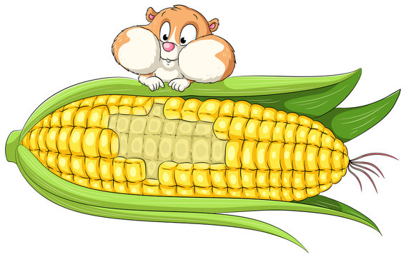 Niedlicher Hamster - Vektor-Illustration