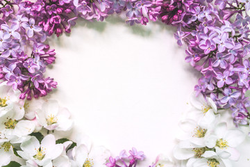 Fototapeta na wymiar Flowers composition. lilac flowers on white background. Spring concept. Flat lay, top view copy space.