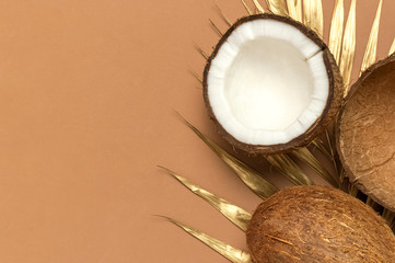 Whole and half coconut, golden palm leaf on brown background. Creative layout with coconuts....
