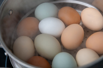Pastured Eggs From Different Chickens Being Steamed