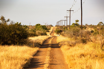 Dirt road along electricity lines with hills in the background in Kruger National Park, South Africa