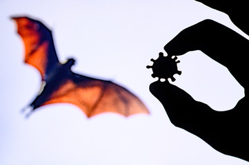 Hands silhouette holds covid 19 virus, Flying bad in background, white edit space