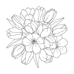 Tulips - Flower bouquet. Vector coloring book for adult – Flower bouquet. Coloring book page. Hand-drawn illustration for coloring. 