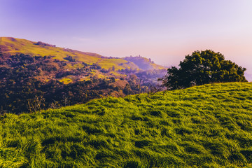 Picturesque green hills and meadows in sunlight. Scenic countryside in mountains at sunset. Colorful landscape in California, USA. Panoramic scene. Alum Rock Park. Sierra Vista Open Space Preserve.