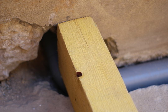 solive en bois