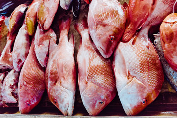 Red snapper and other red fishes from the Indian Ocean at a local food marked in Mahe, Seychelles. 