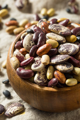 Raw Dried Organic Bean Assortment