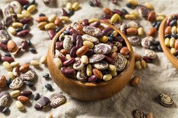 Raw Dried Organic Bean Assortment