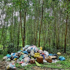 Basura en la naturaleza