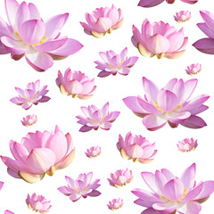 Fototapeta na wymiar Pink Lotus Flower. Floral Botanical Flower. Seamless Background Pattern. On White