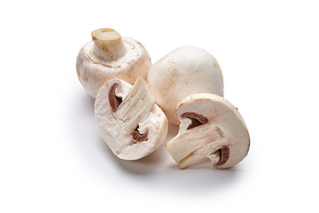 White mushrooms lie on a white background