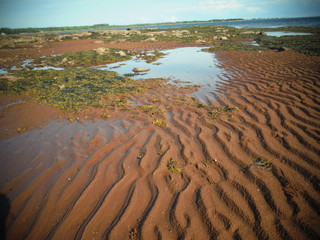 beach in the morning