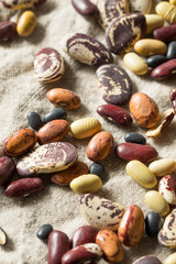 Raw Dried Organic Bean Assortment