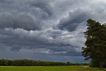 Fototapeta na wymiar storm clouds over green field