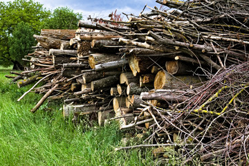 stack of firewood