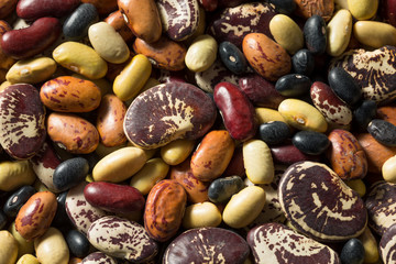 Raw Dried Organic Bean Assortment