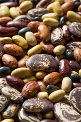 Fototapeta na wymiar Raw Dried Organic Bean Assortment