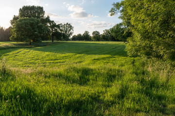 The fresh green of pastures and trees in a floodplain shine in the light of the evening sun on a beautiful day