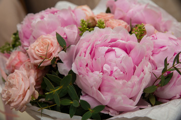 pink roses in a garden