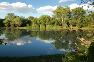 Fototapeta na wymiar An abandoned pond on a bright Sunny day with a cloudy sky