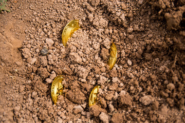 Bitcoin cryptocurrency, the future of business and payments. Rising value of bitcoin. Virtual currency. Excavation of gold coins from the ground