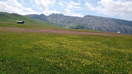Fototapeta premium mountain landscape in the summer