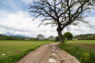 A country road