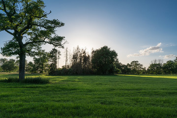 The pastures and trees of a floodplain are bathed in shade and evening light after a beautiful day.