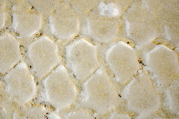 amazing textured sand pattern can be used as background or wallpaper
