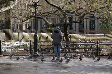 Man with pigeons in Washington Square