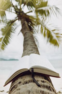 Notebook with travel notes on a Palm tree branch at the beach