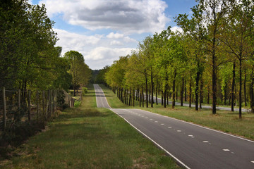 Country road 