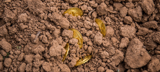 Bitcoin cryptocurrency, the future of business and payments. Rising value of bitcoin. Virtual currency. Excavation of gold coins from the ground