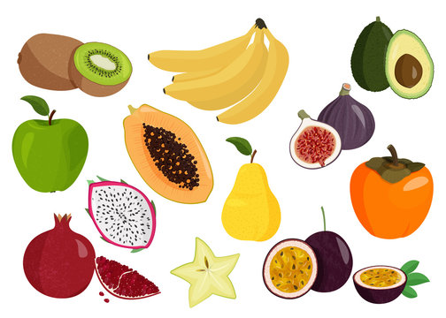 Fresh fruits collection. Set of sweet fruits. Realistic vector illustrations.